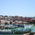 DSC03858