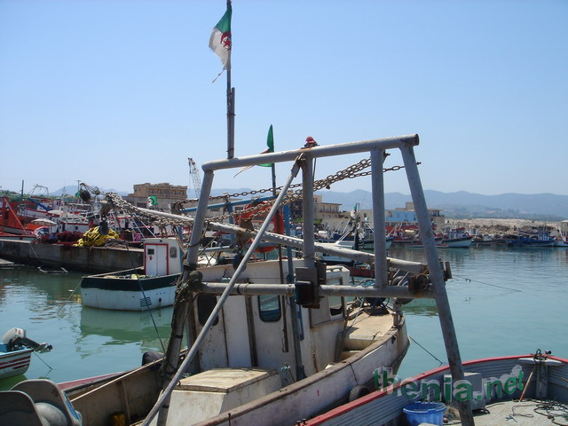 DSC03859.JPG