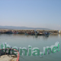 DSC03860