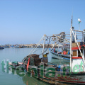 DSC03862