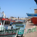DSC03863