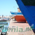 DSC03864