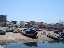DSC03868