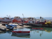 DSC03869