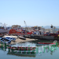 DSC03869