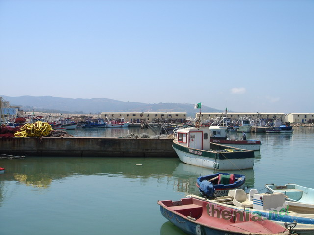 DSC03870.JPG