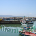 DSC03870