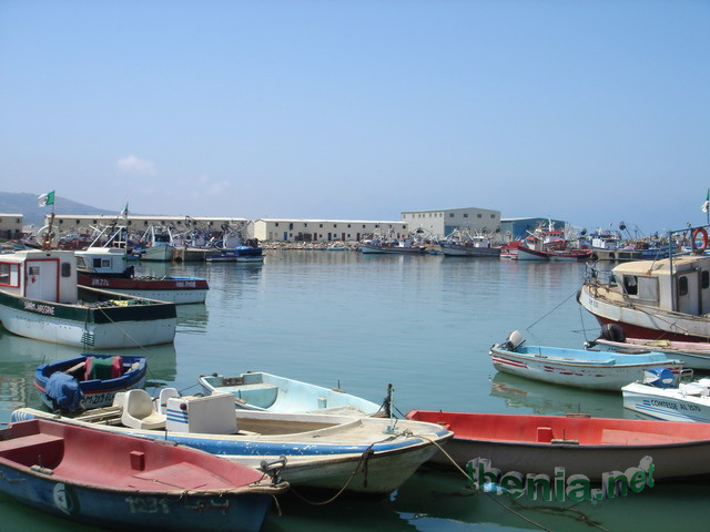 DSC03872.JPG