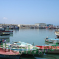DSC03872