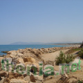 DSC03878