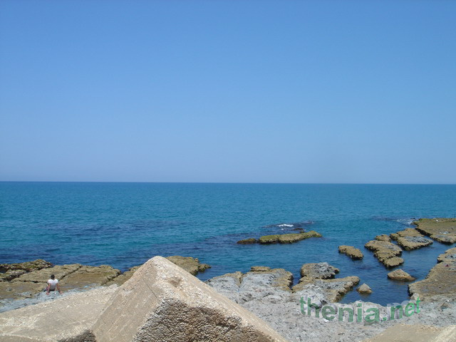 DSC03880.JPG