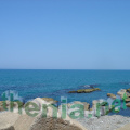 DSC03880