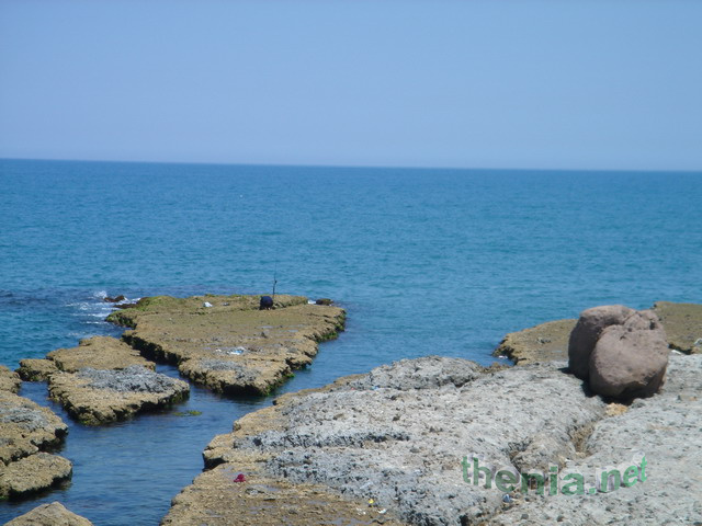DSC03885.JPG