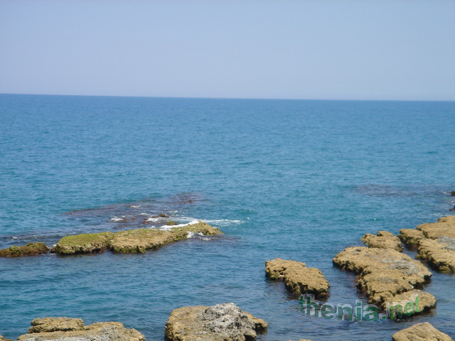 DSC03886.JPG