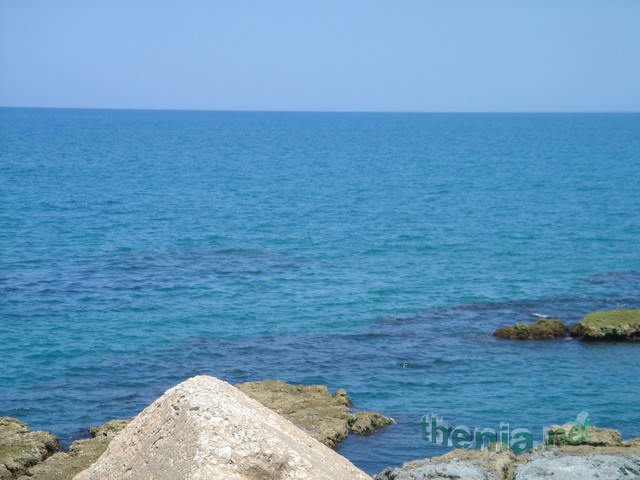 DSC03887.JPG