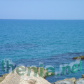 DSC03887