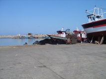 DSC03893