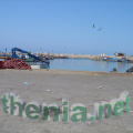 DSC03894