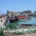 DSC03896