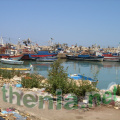 DSC03899