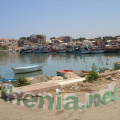 DSC03900