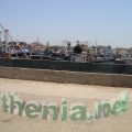 DSC03902