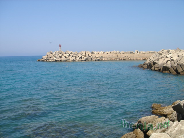 DSC03904.JPG
