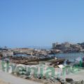 DSC03913
