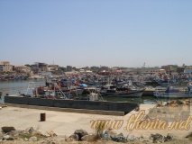 DSC03914