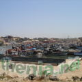 DSC03914