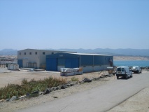 DSC03916