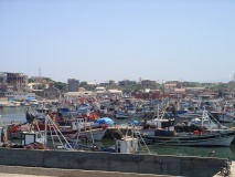 DSC03923