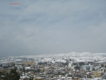 04 febuary 2012 (42)