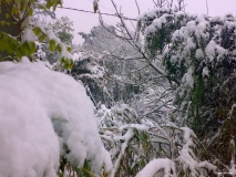 notre jardin