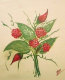 CIMG4629