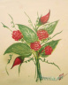 CIMG4629