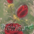 CIMG0079-me