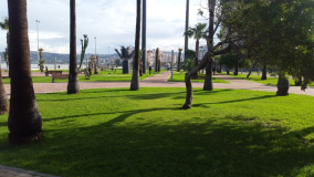 20161204 103125 InPixio
