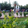 placette (5)