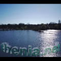 Etang Fleuri