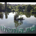 Etang fleuri - Vert-le-petit 91. 4K